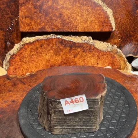 大果紫檀（缅甸花梨）