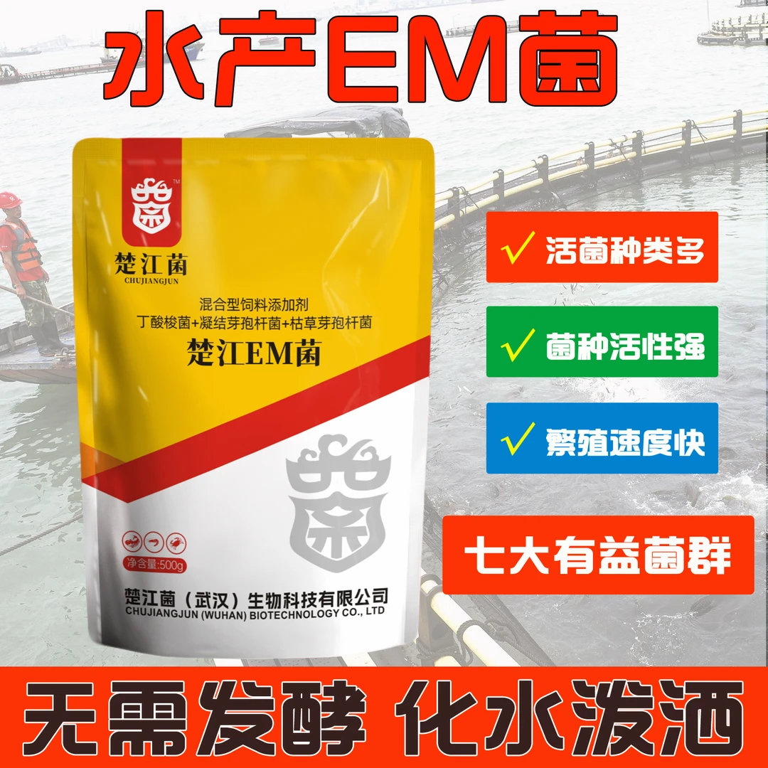 楚江EM菌水产养殖专用调水稳水降解氨氮芽孢抑制弧菌