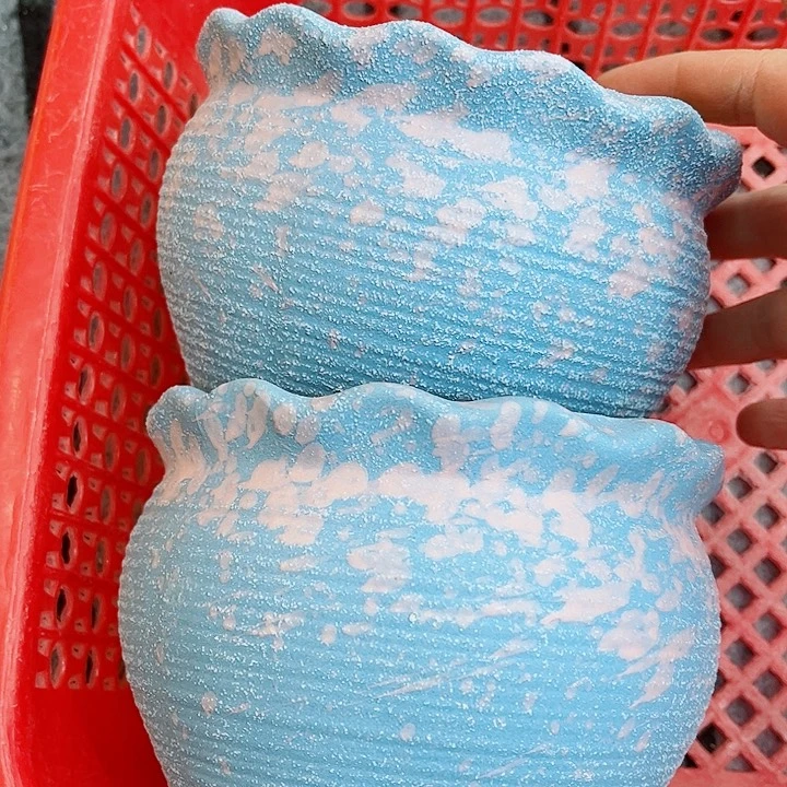 多肉植物陶瓷花盆