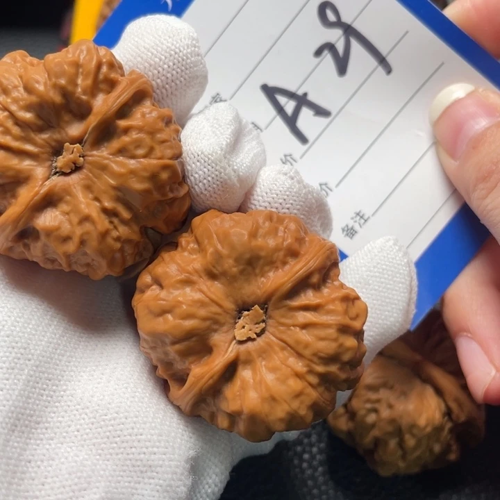 文玩核桃把件远**乡蛤蟆37