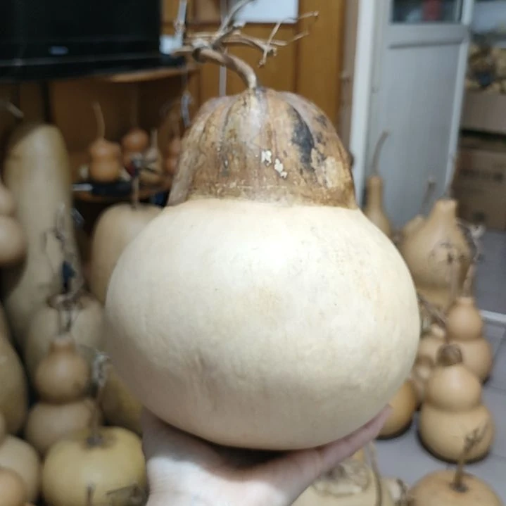 乘***去藤家居饰品家居饰品