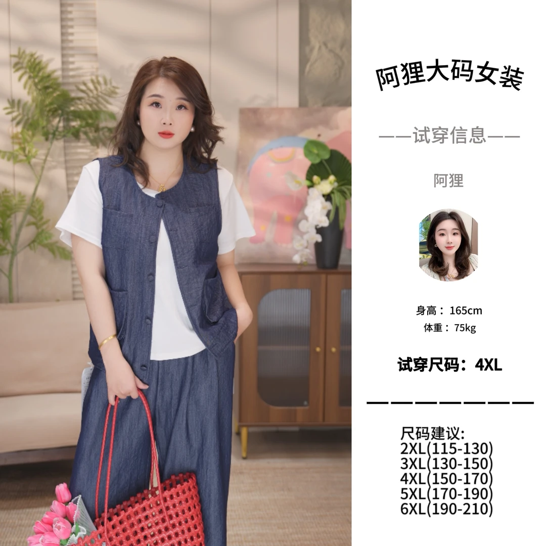 666-C-三件套（马甲+半袖+阔腿裤}简约气质大码套装100-210斤