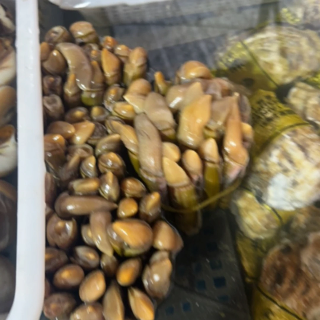 圣子皇（500g）