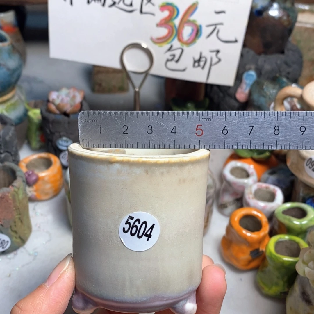 拍5送一个小礼物花盆