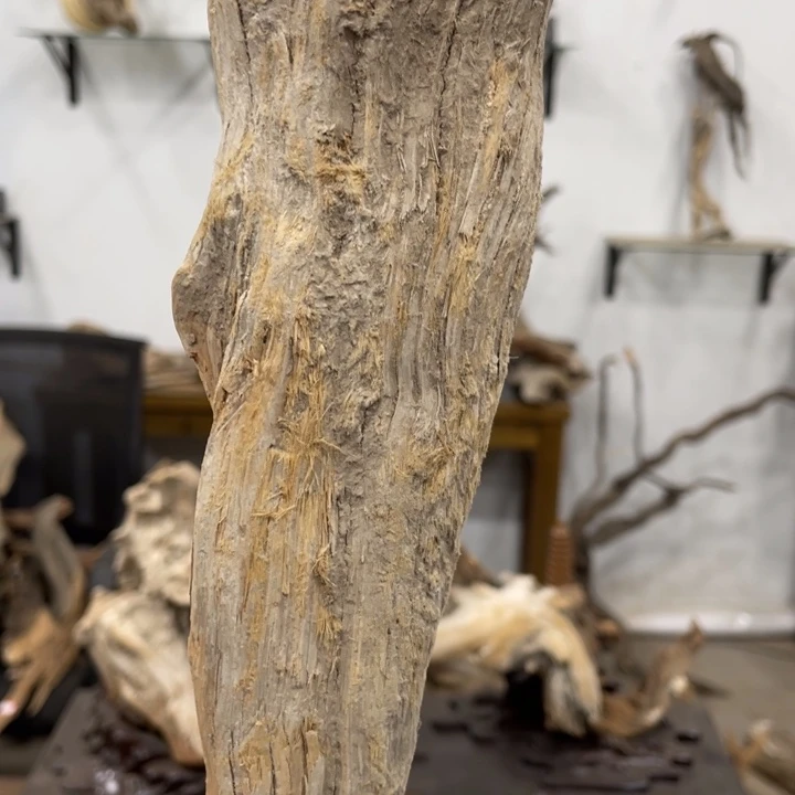 道****5我们都是好孩子呀