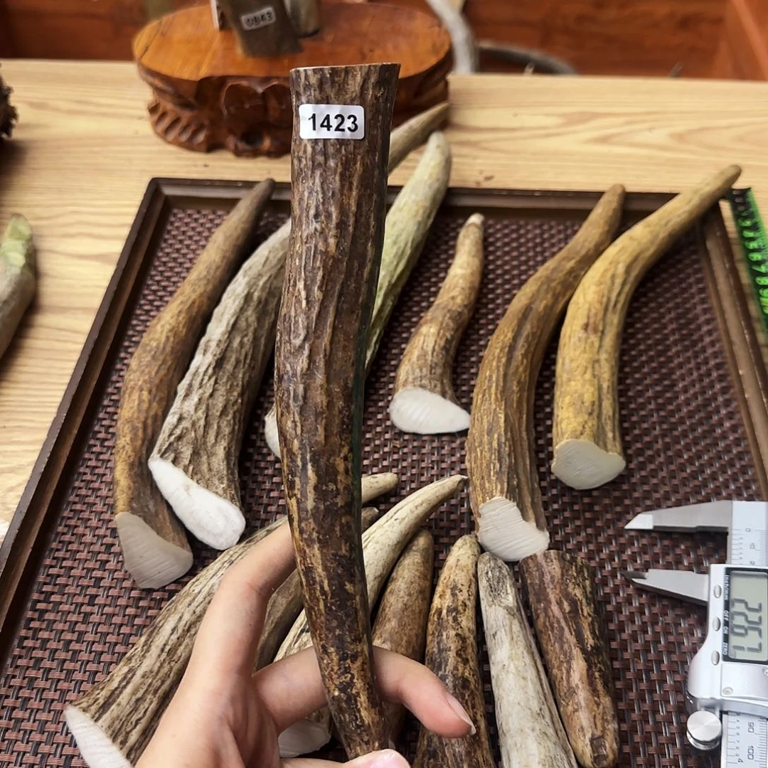 鹿骨手串/手链1423角尖