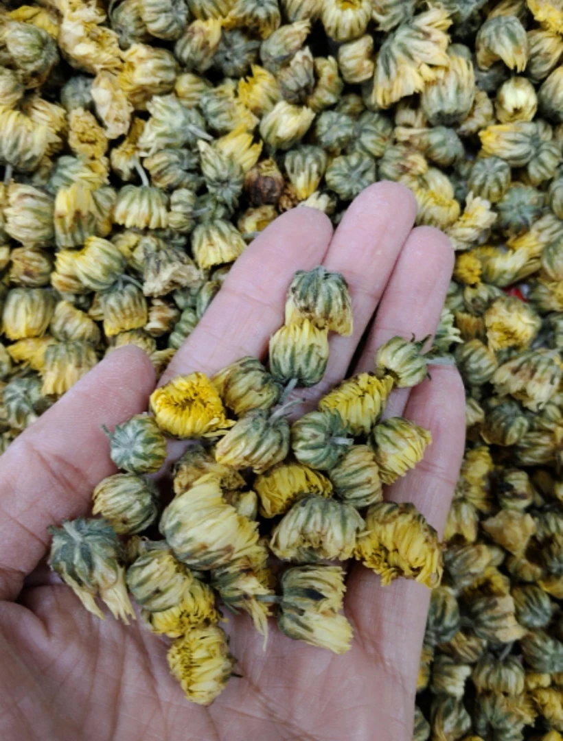 湖北省南漳县胎菊