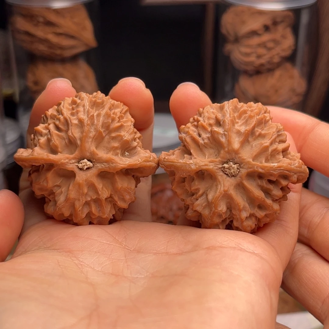 把件文玩核桃苹果园 42全品橙皮