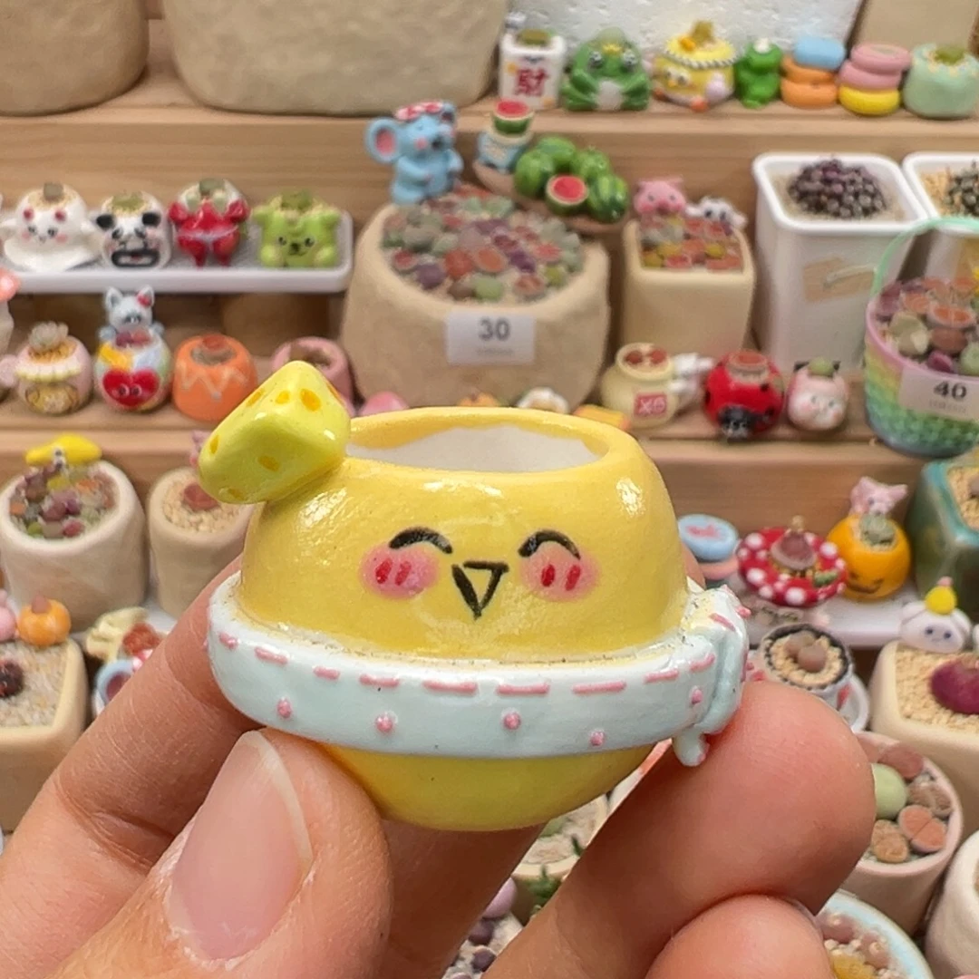 小****多肉植物89号只要盆