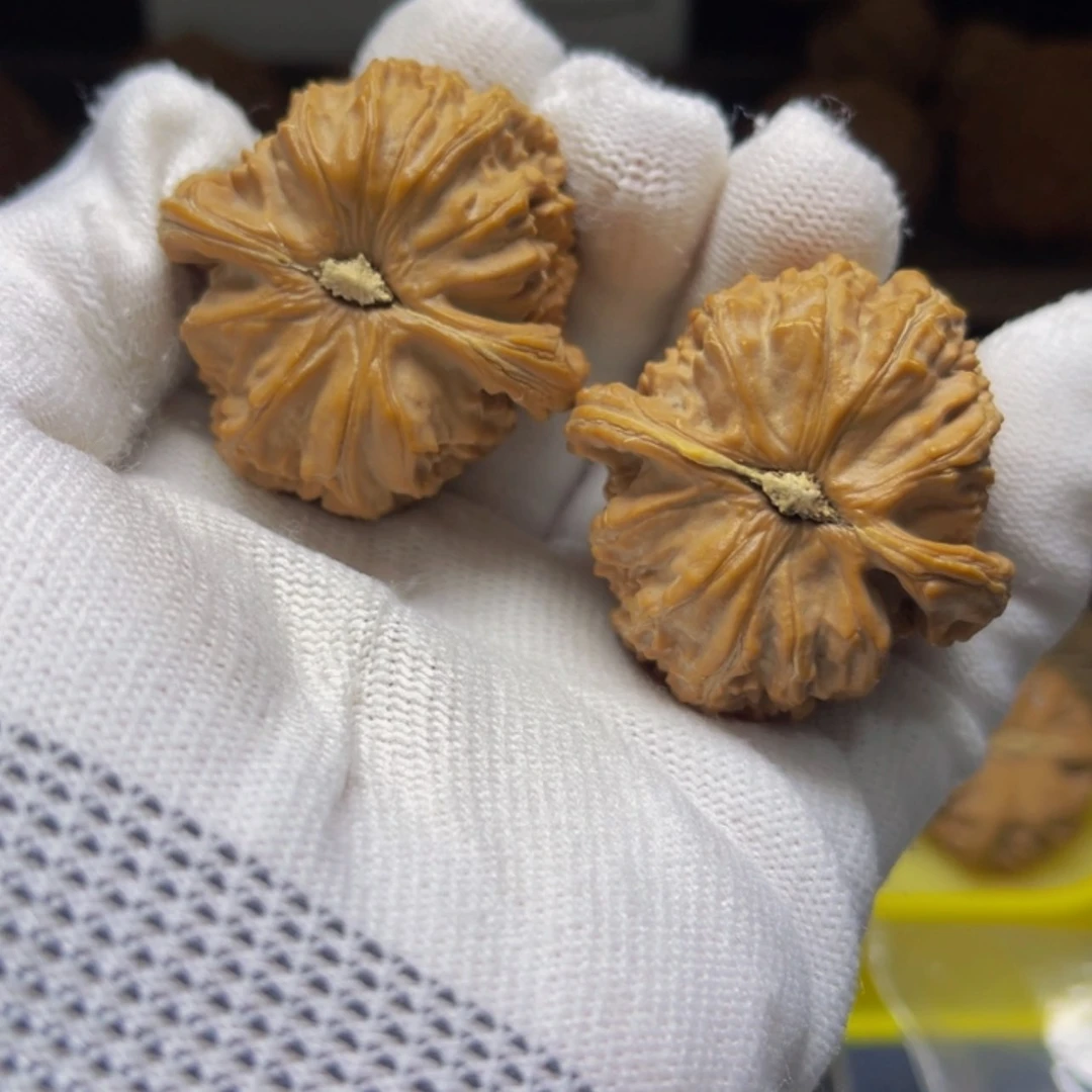 【闪购商品】核桃把件40尺寸白狮子