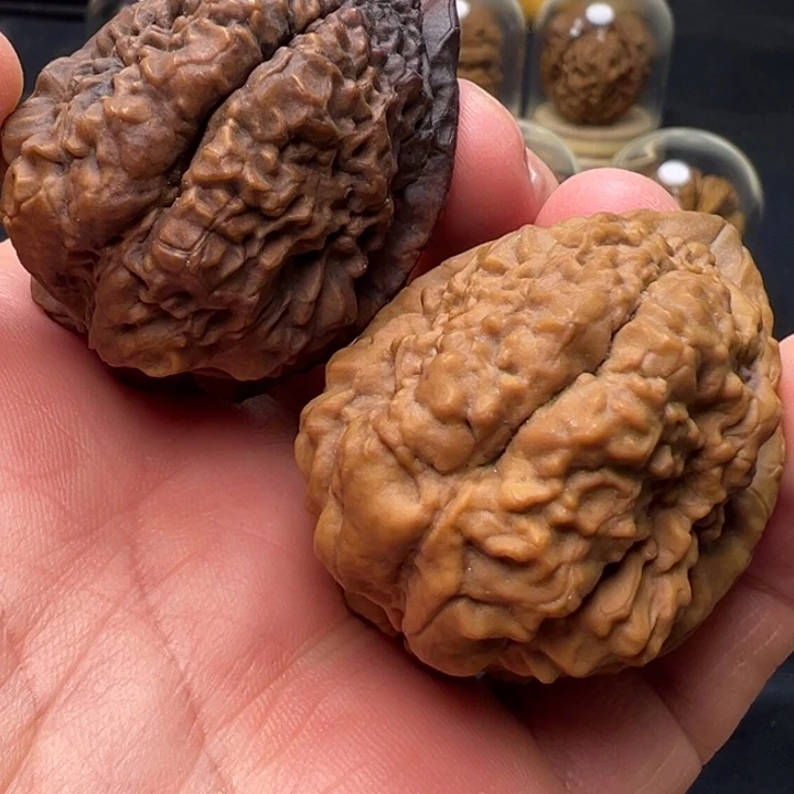 文玩核桃把件鳄鱼头43mm