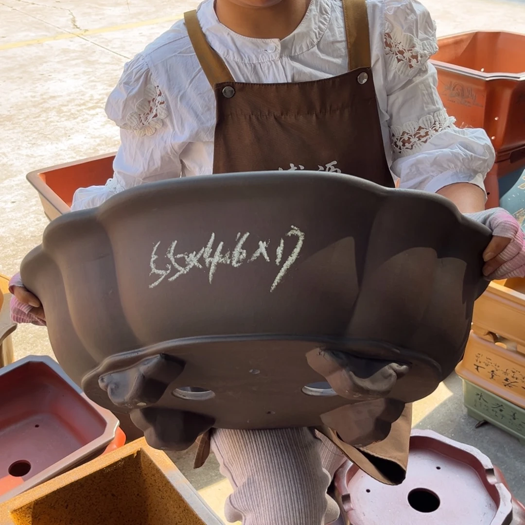 紫砂花盆盆景艺术