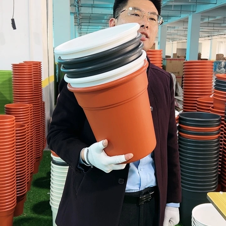 清仓翻边口27高29白色5只无托