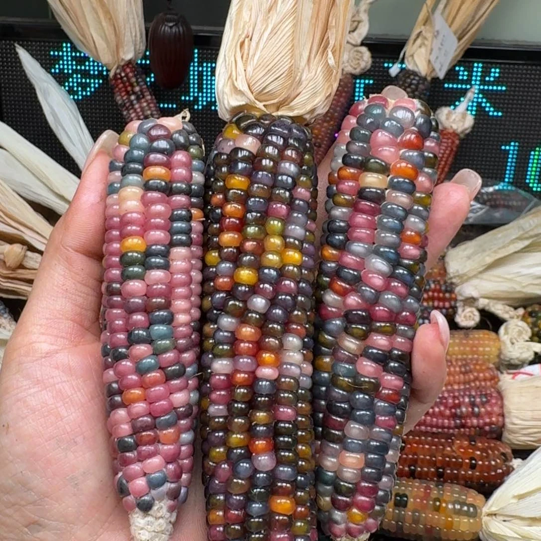 柏香籽/百香籽吊坠一****?