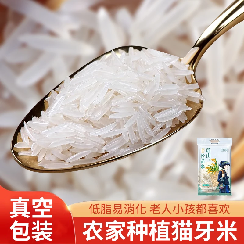 甄选瑶族丝苗米长粒南方籼米猫牙米晚稻象牙米厂家直发5斤大米