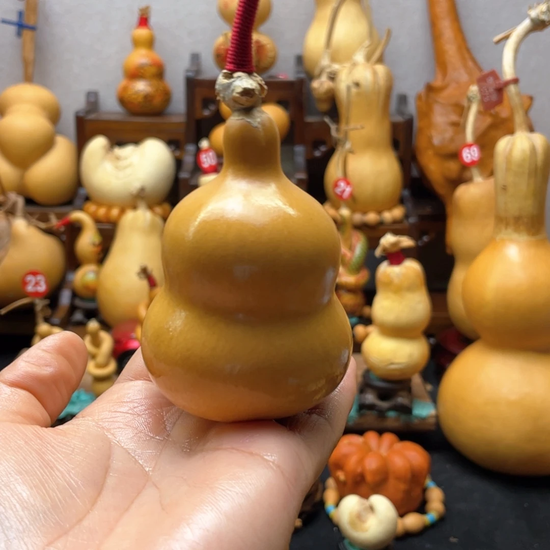 小*阳大自然的秘密第十节第一节