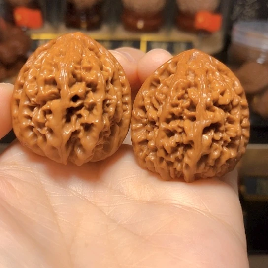 野生小众：卧龙粗筋