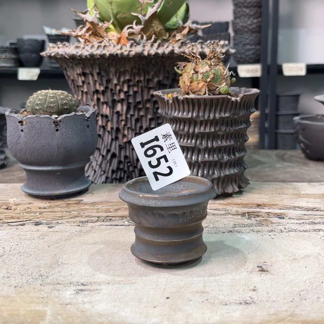 陶内口5.3高5景德镇