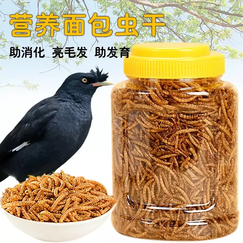 新店拍一送一八哥鸟食饲料通用零食豪华鹦鹉鸟粮用品画眉专用