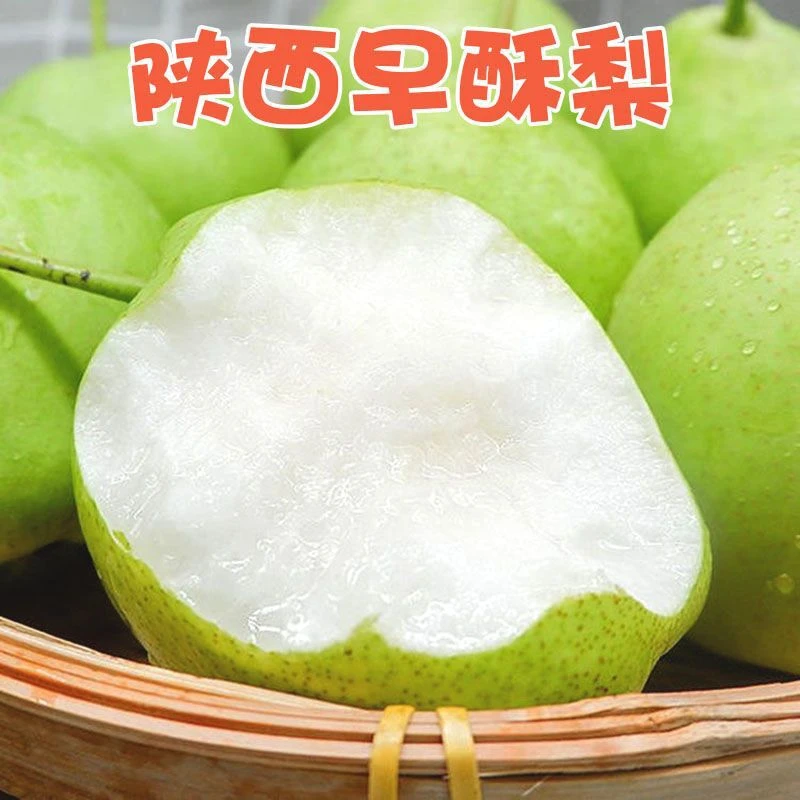 2025年头茬陕西早酥梨新鲜应季水果皮薄多汁现摘现发青皮梨子甜