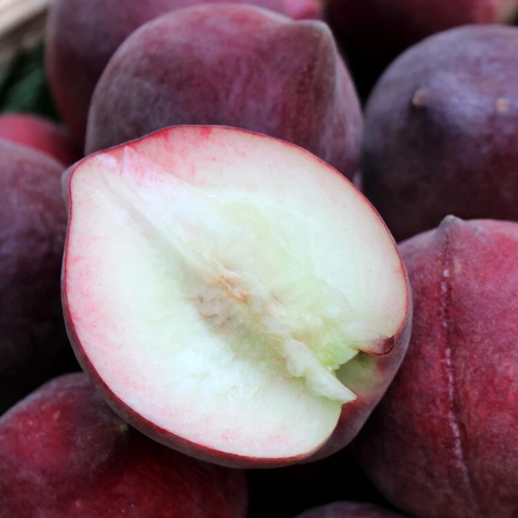 新鲜水果云南高原头茬五月蜜脆桃脆甜多汁皮薄鲜嫩孕妇水果