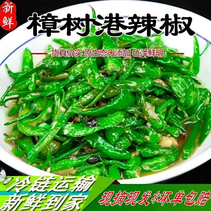顺丰包邮【微辣】樟树港辣椒湖南品种新鲜现摘现发皮薄肉厚微辣嫩香