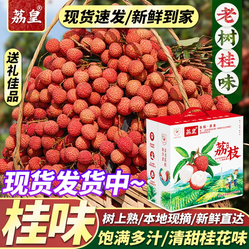 荔皇正宗茂名高州桂味荔枝新鲜现摘高端水果礼盒装顺丰【羊城甄选】