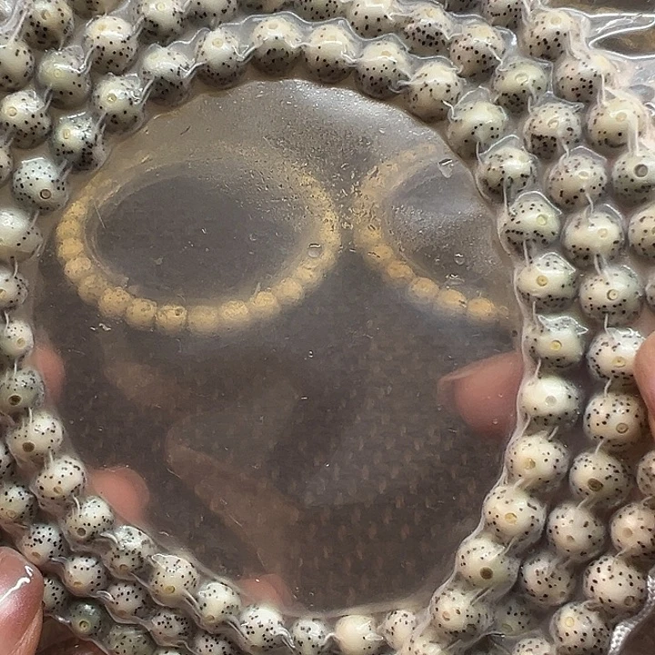 星月菩提手串海南原生态8圆福利