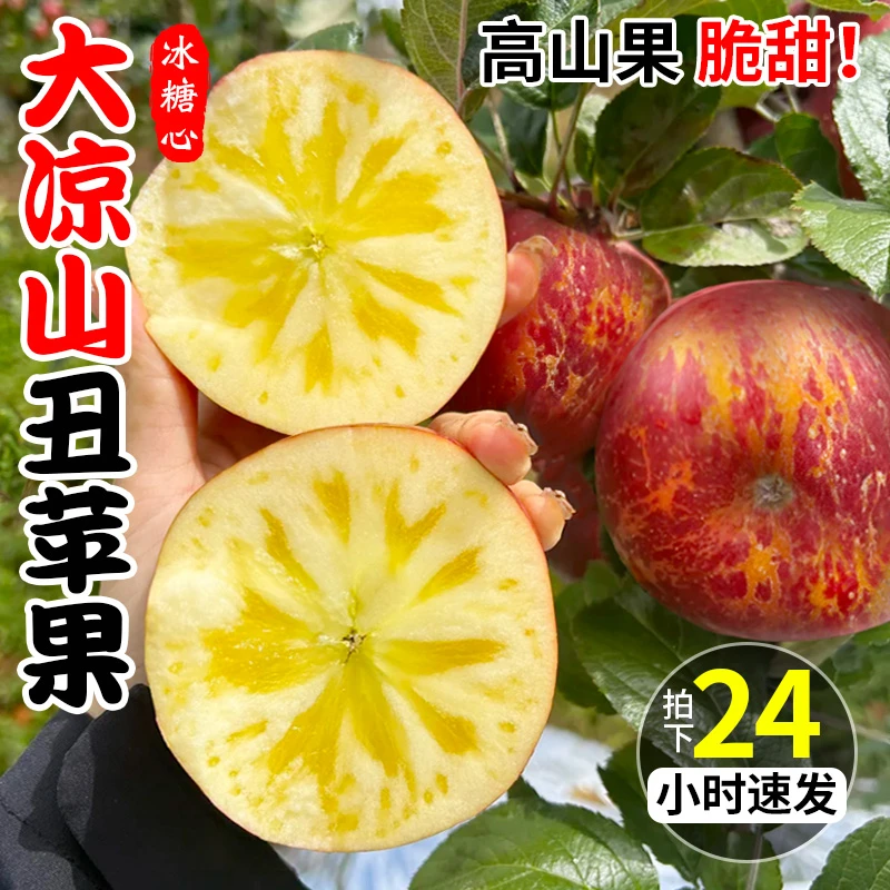 2025新鲜冰糖心丑苹果现摘大凉山盐源孕妇脆甜水果高原特大果