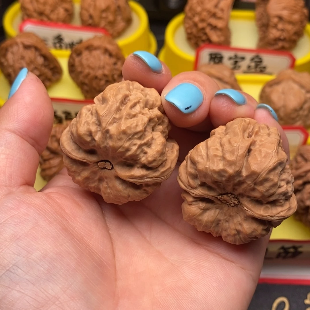 菩提籽类蛤蟆头头