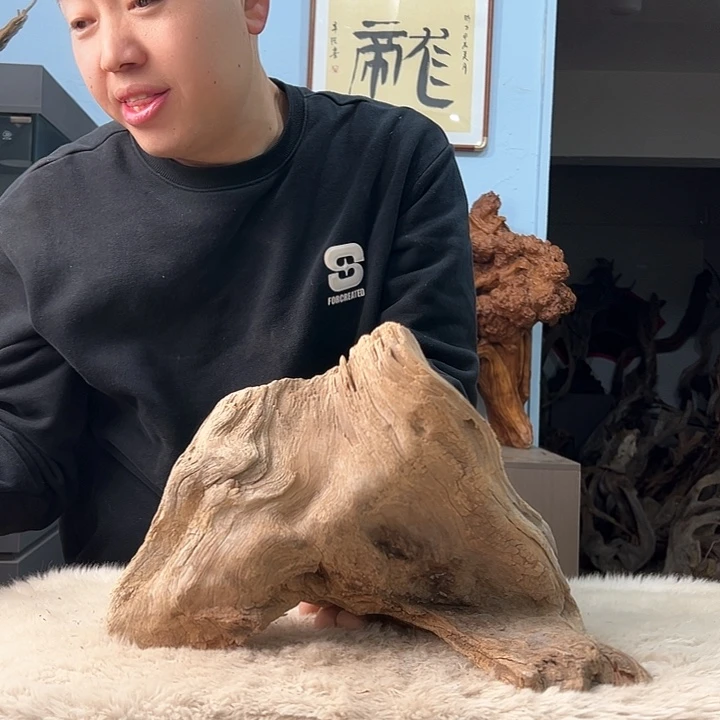 柏木叶****室我们都是好孩子呀我也是想要