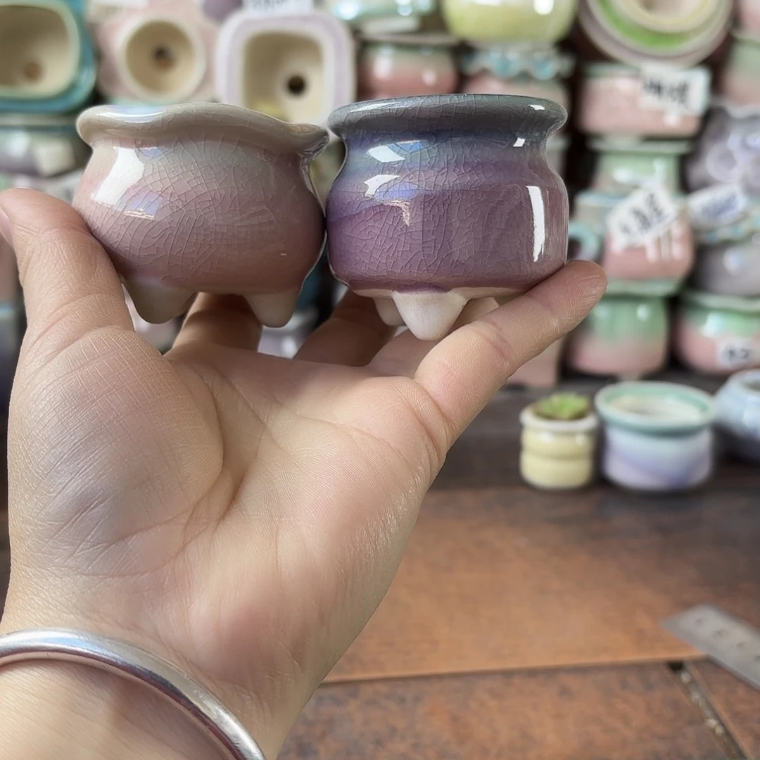 量货/4口高深浅搭配发12