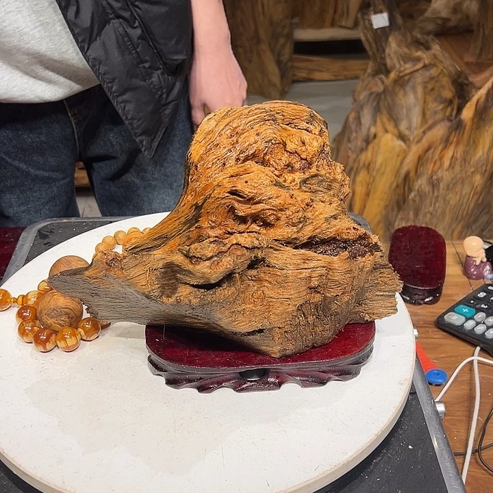 松木（琥珀木）菜****?