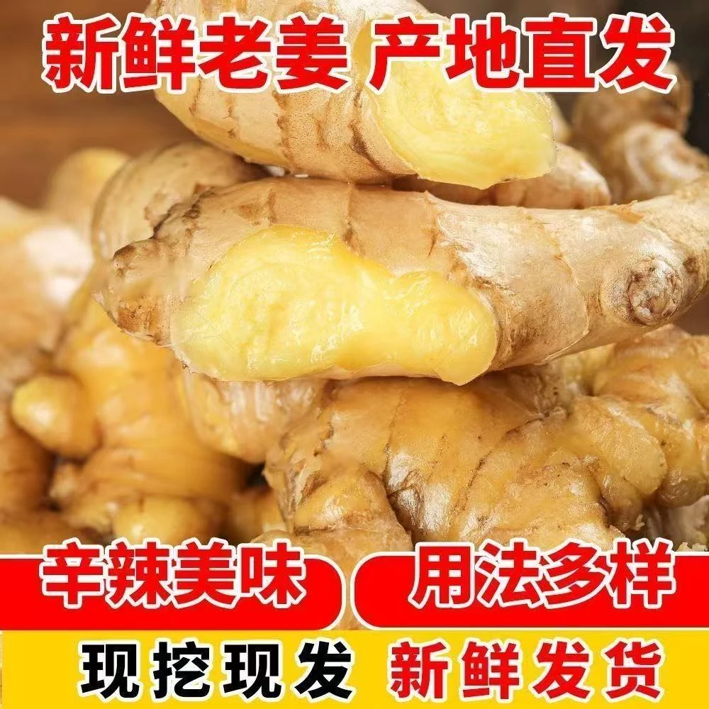 老姜月子姜小黄姜现挖现发味浓香辣详情页图片为准略带沙土