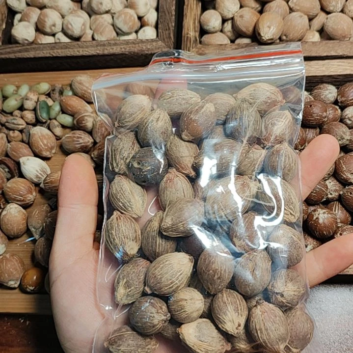 紫金鼠吊坠888888888888888888888
