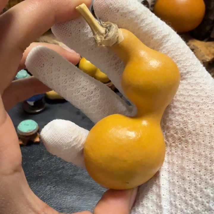 燕***意66……………………………………