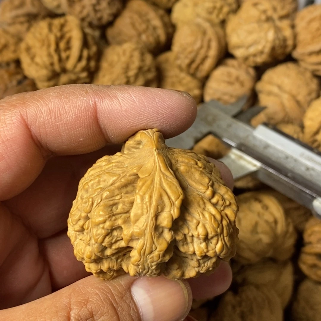 问***林大叶紫檀（黑酸枝木类）