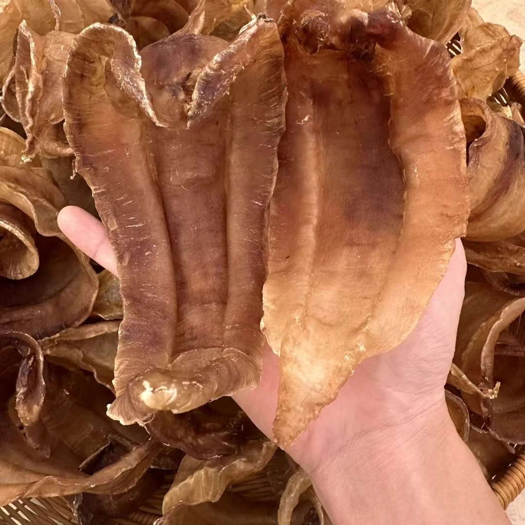 14头正三门土鳘公胶 250克-500克