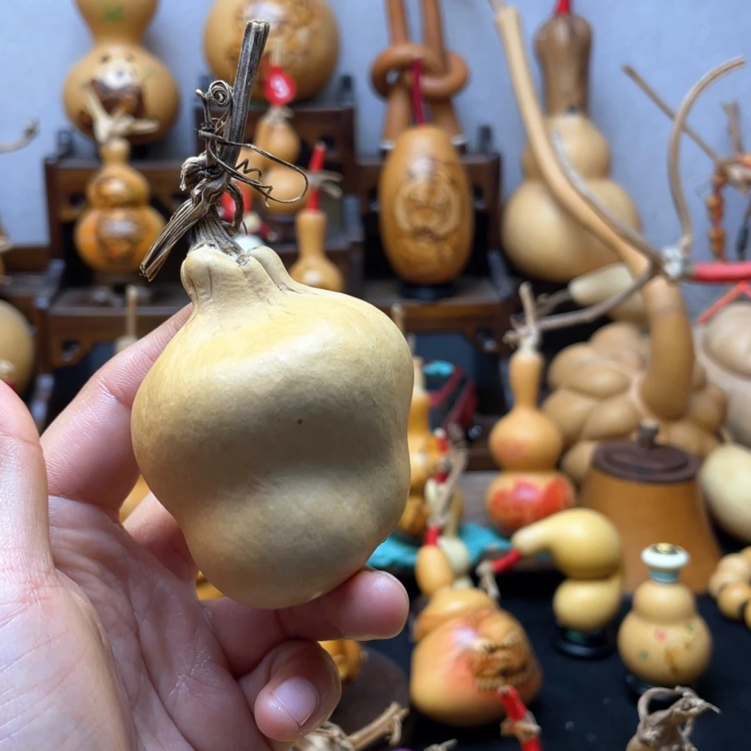 猛****手大自然的秘密第十集我看