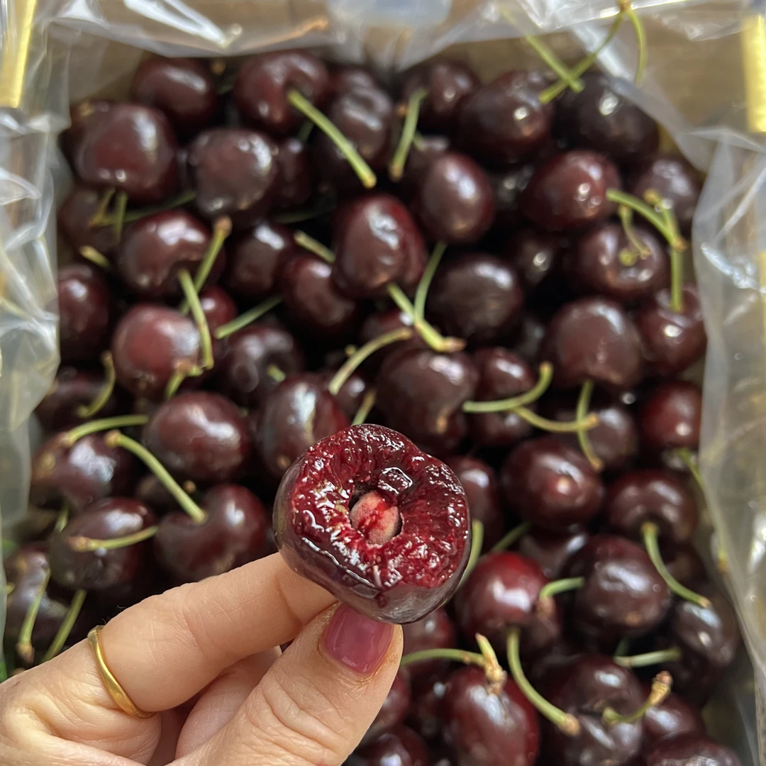 【荥阳同城小时达】爆甜多汁海运JJJJ桑提娜车厘子5斤原装箱智利