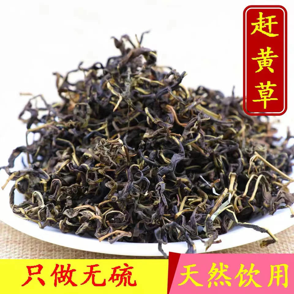 【四川赶黄草】正品古蔺赶黄草熬夜多喝喝可搭配决明子.