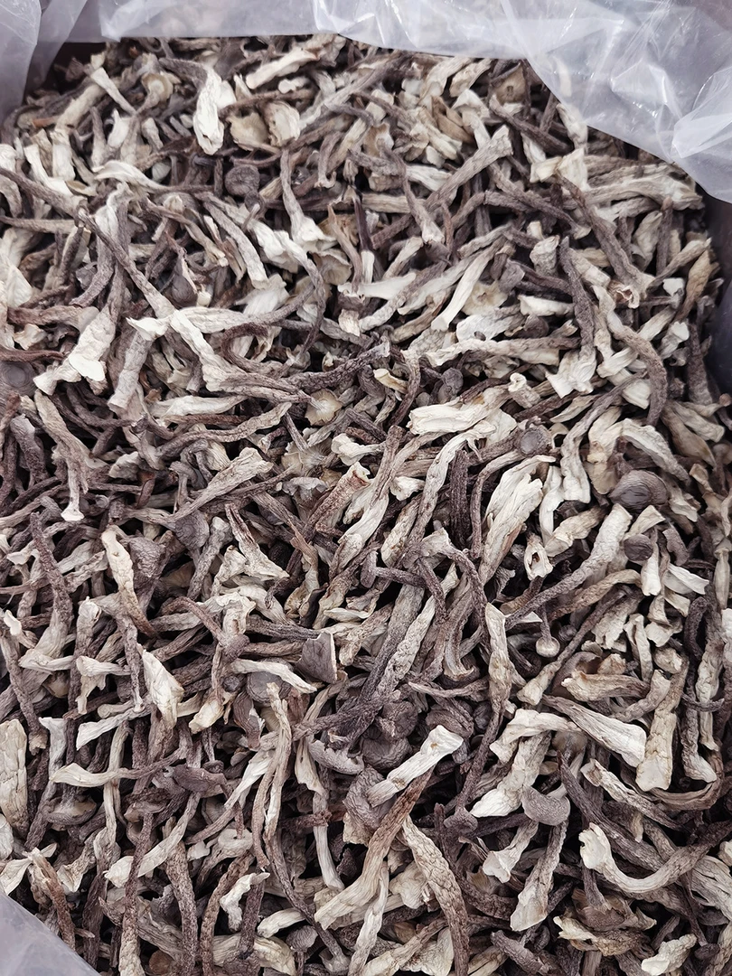 云南农家《鹿茸菇》干货脆脆菇营养丰富脆嫩爽口煲汤炒菜好食材