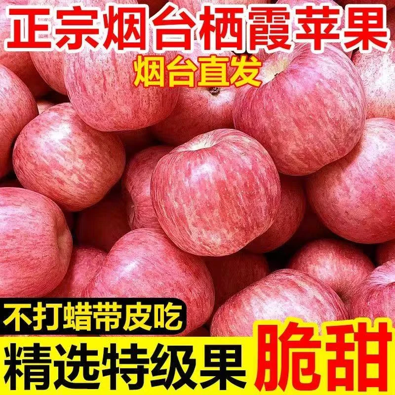 【特脆特甜】正宗红富士苹果新鲜当季冰糖心苹果一整箱非陕西洛川