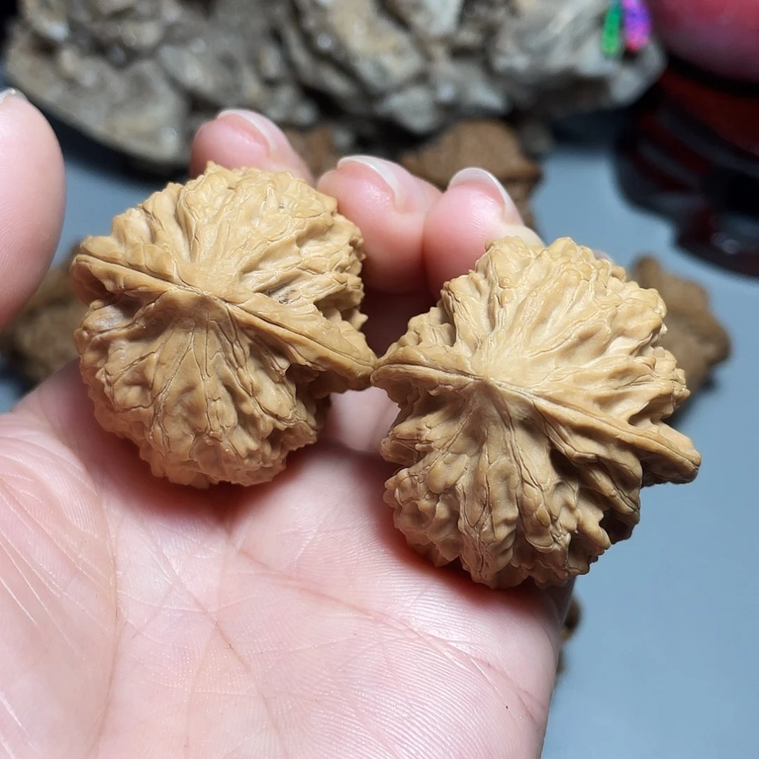 核桃手串/手链精品野生小形对歪