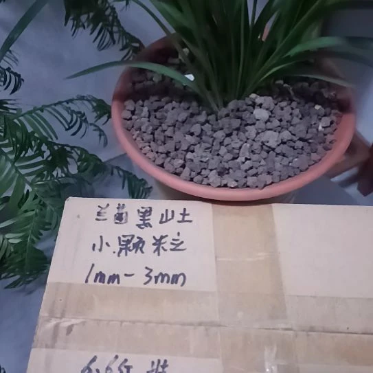 ②***锤兰菌颗粒小颗粒6.6斤