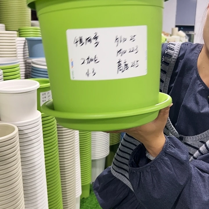 特价4号口25高21.5果绿色8只带托