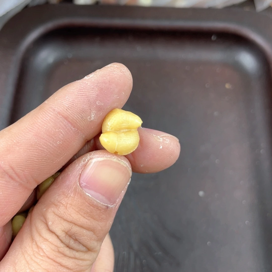 驼骨手串/手链编号4 0