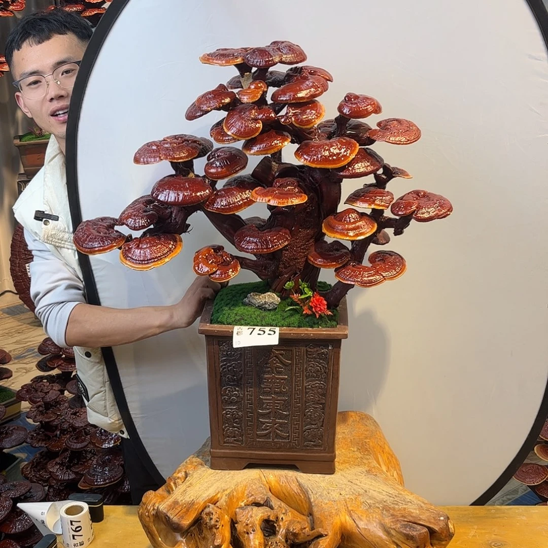 无花朵888888888888