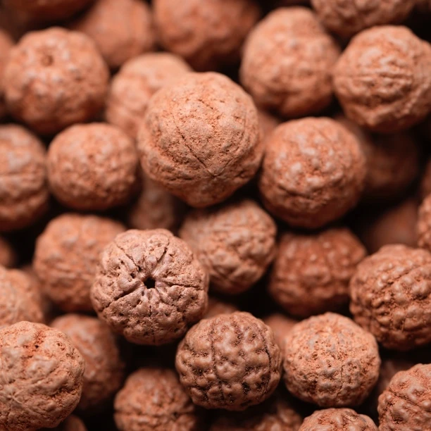 小金刚 尺寸默认