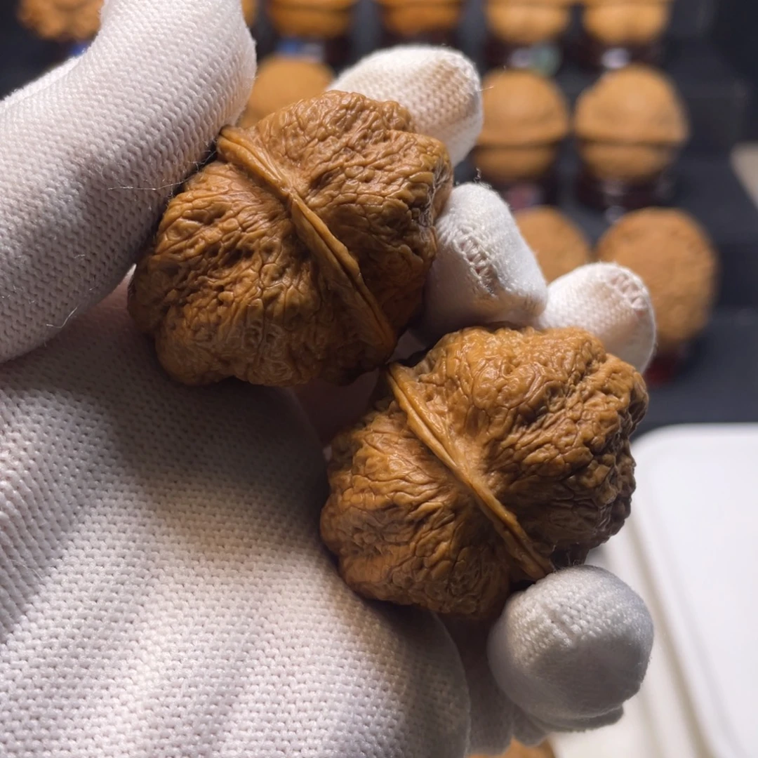 文玩核桃把件Y3蝴蝶蟾40尺